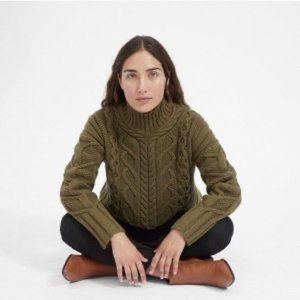 Everlane The Wool Cashmere Cable Turtleneck